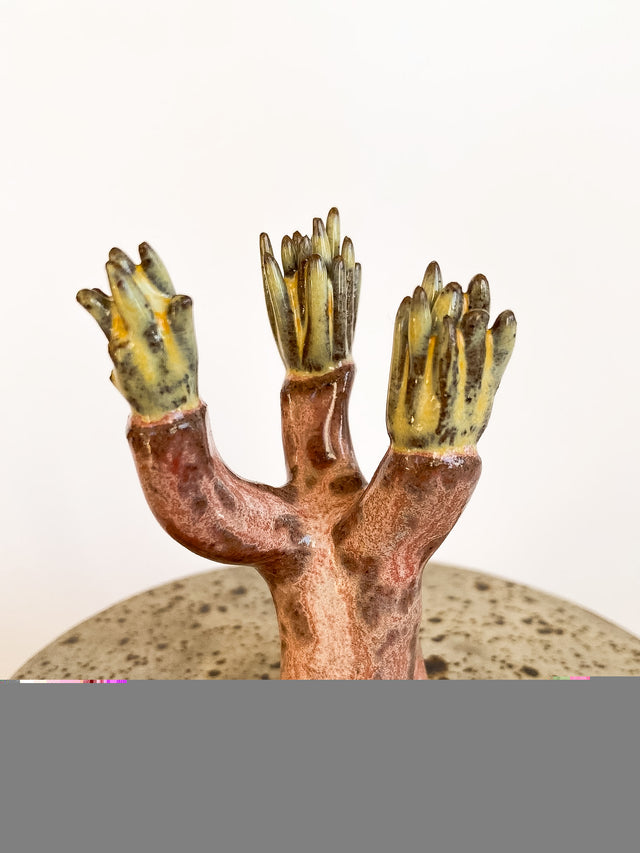 Æske med låg #1 - Vibeke Wang