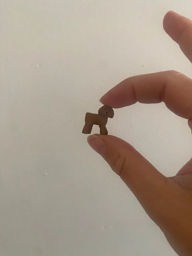 Mini magneter - hunde - misc