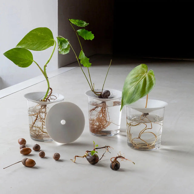 Porcelæn spireplade - lille - Botanopia