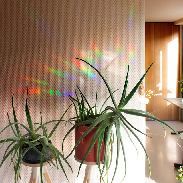 Regnbuemagi Rainbow Drizzle - klistermærke til vindue - Botanopia