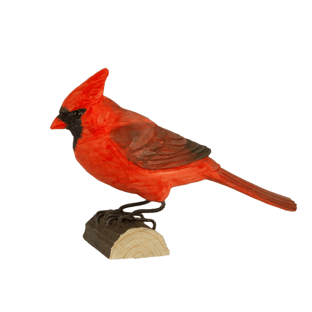 Rød Kardinal - træfugl - skråt forfra