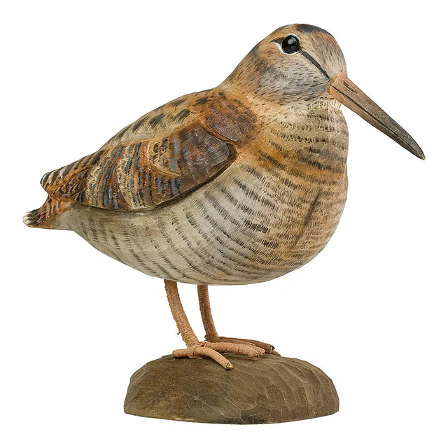 Skovsneppe - træfugl - Wildlife Garden - Wildlife Garden