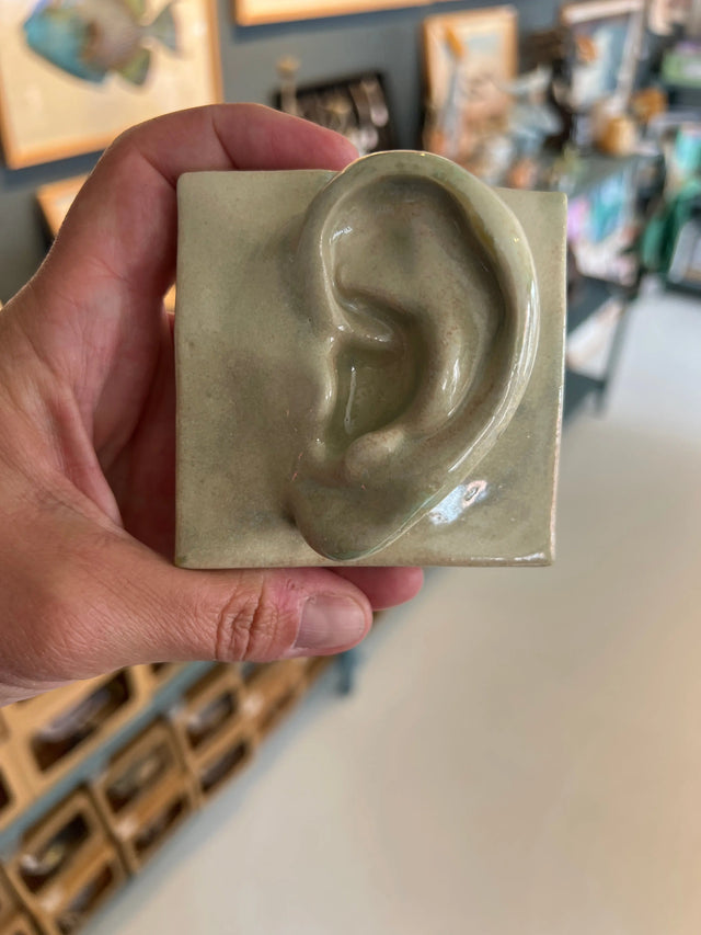Square Ear (L) 10 - keramik - Laoru Laoru