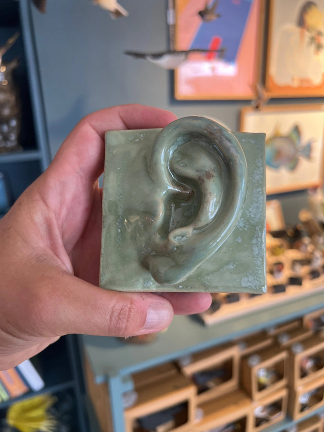 Square Ear (L) 11 - keramik - Laoru Laoru