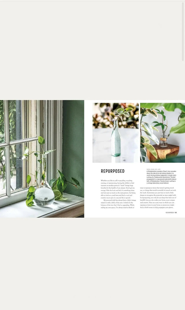 The propagation handbook - New Mags