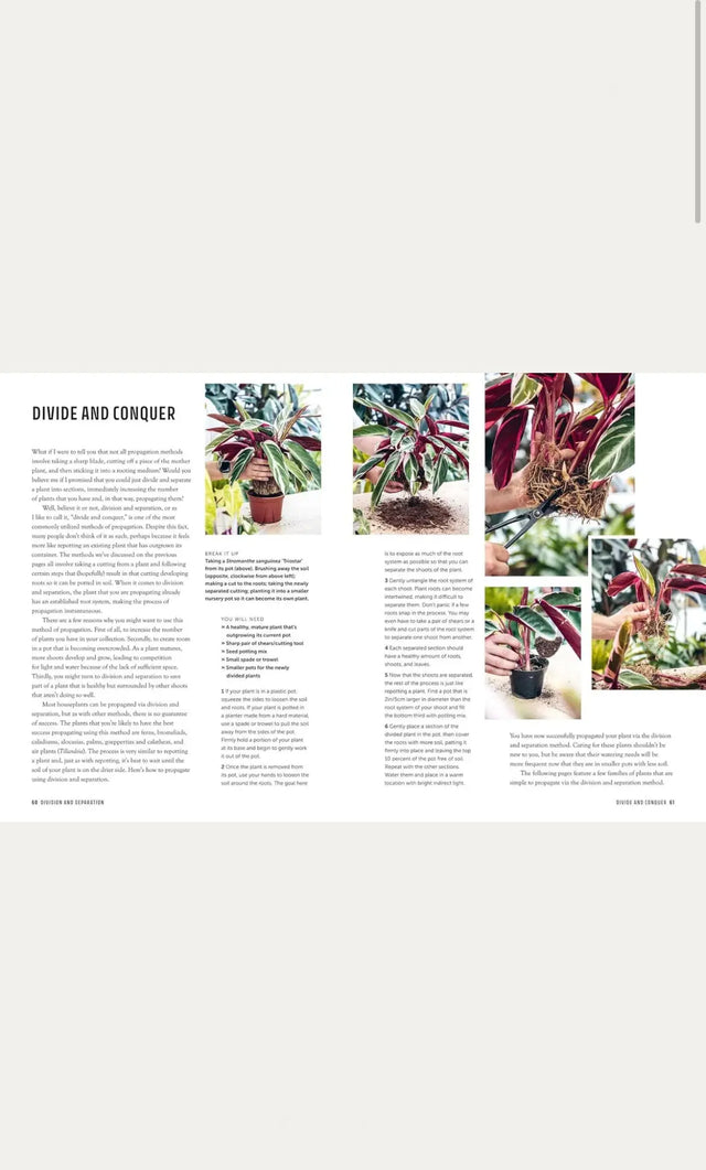 The propagation handbook - New Mags