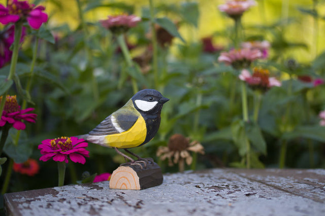 Musvit i træ - Wildlife Garden