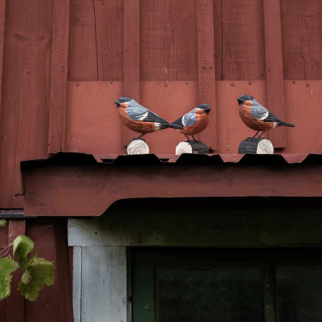 Dompap - træfugl (mellem) - Wildlife Garden