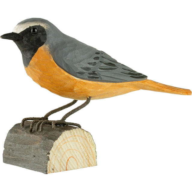 Rødstjert i træ - Wildlife Garden