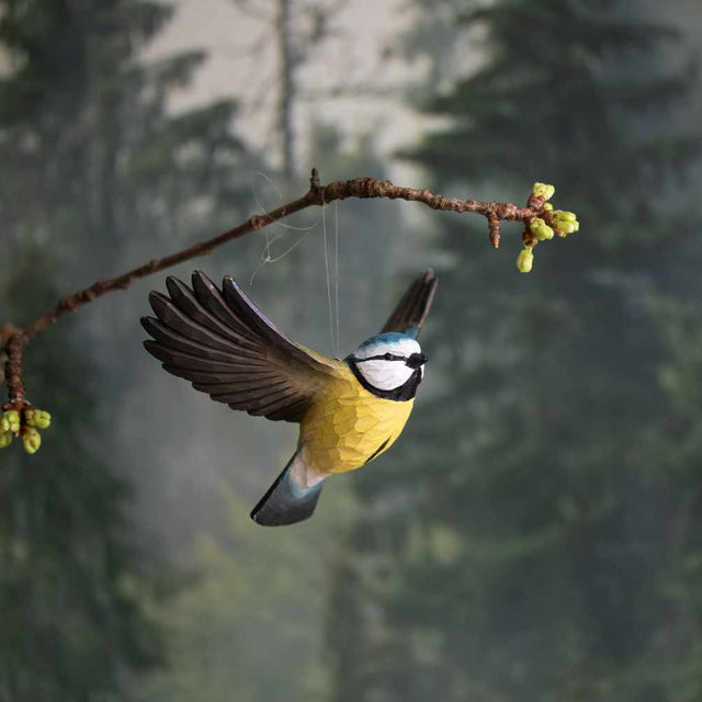 Flyvende blåmejse - træfugl - Wildlife Garden
