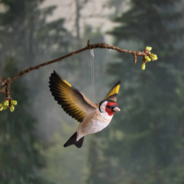 Flyvende stilits - træfugl - Wildlife Garden