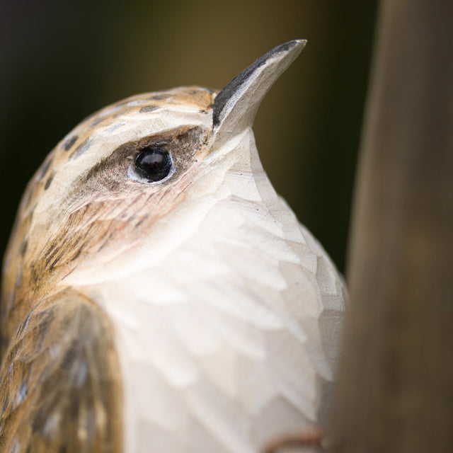 Wildlife Garden træløber i håndsnittet træ, livsstilsfoto