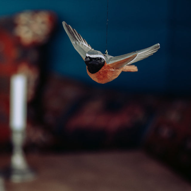 Flyvende rødstjert - træfugl - Wildlife Garden