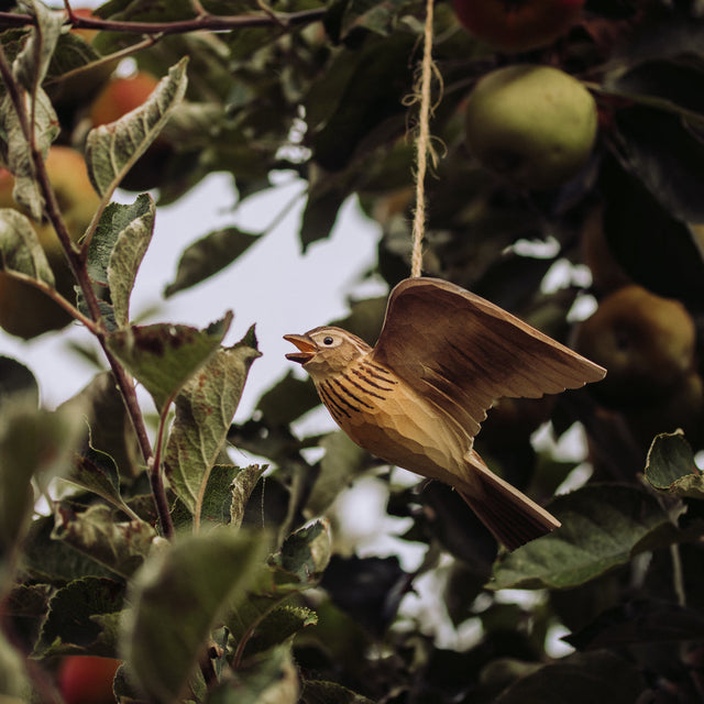 Flyvende lærke - træfugl - Wildlife Garden