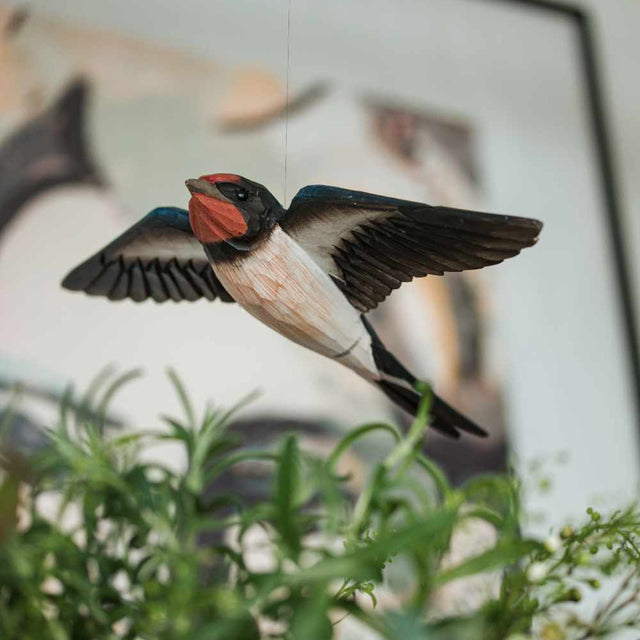 Flyvende svale - træfugl - Wildlife Garden