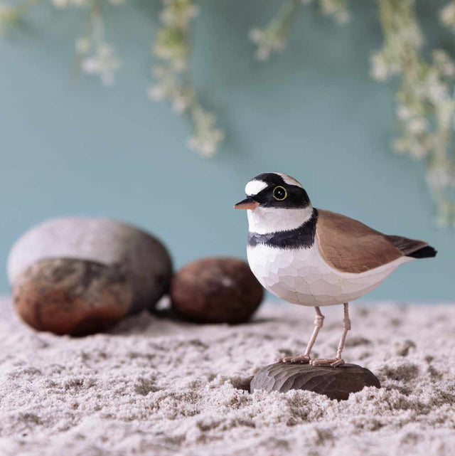 Præstekrave - træfugl (mellem) - Wildlife Garden