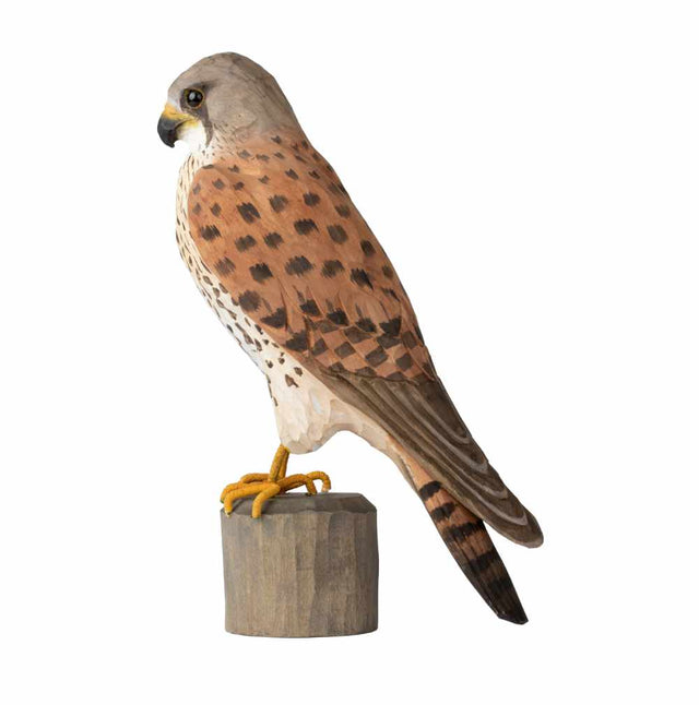 Tårnfalk - træfugl - Wildlife Garden