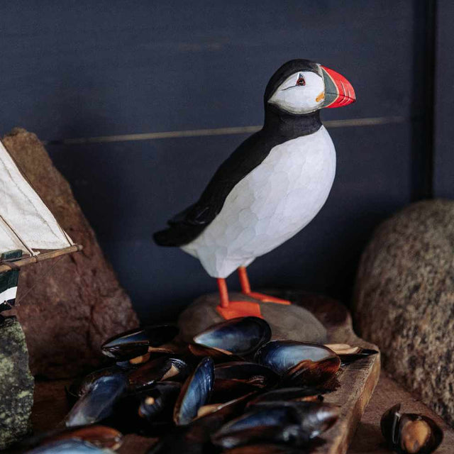 Søpapegøje - træfugl - Wildlife Garden