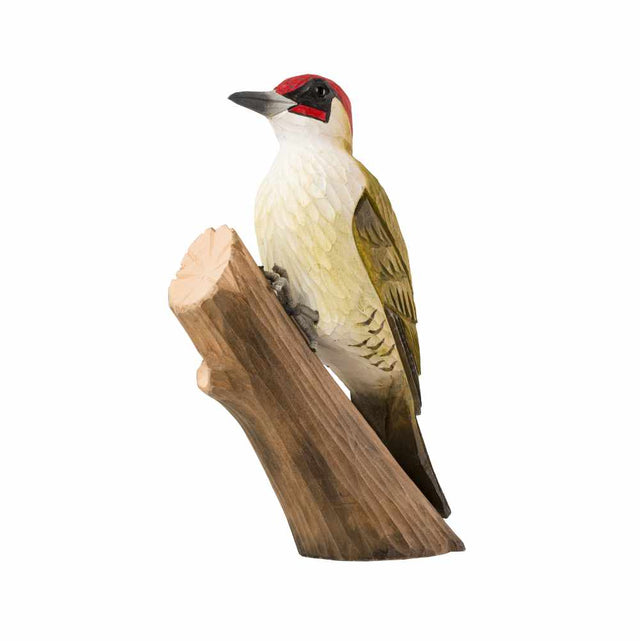 Grønspætte - træfugl - Wildlife Garden