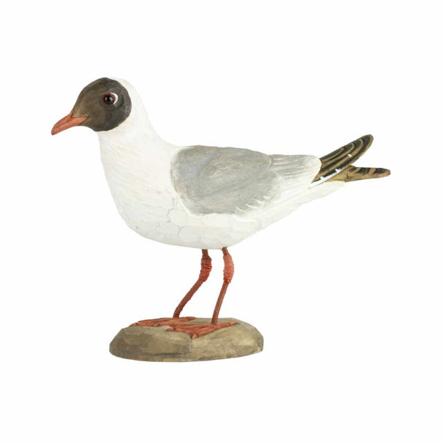 Hættemåge - træfugl - Wildlife Garden