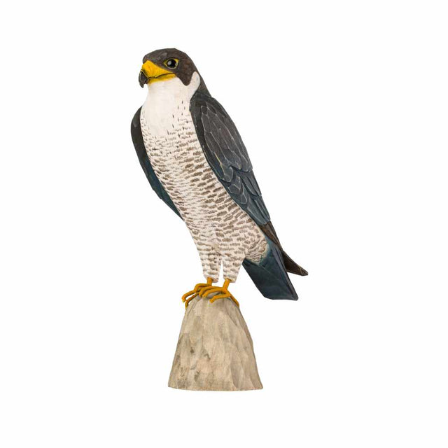 Vandrefalk - træfugl - Wildlife Garden