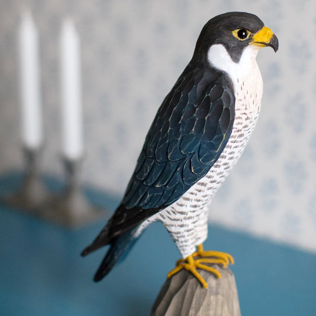 Vandrefalk - træfugl - Wildlife Garden