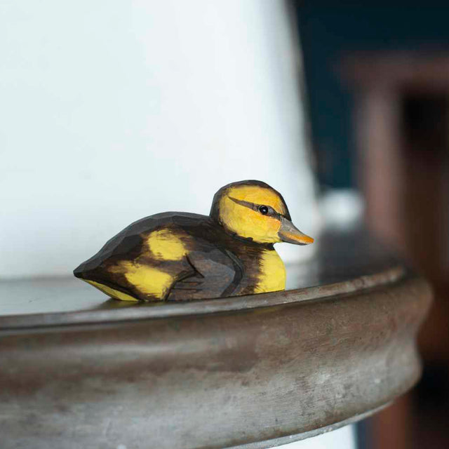Wildlife Garden ælling i håndsnittet træ, livsstilsfoto