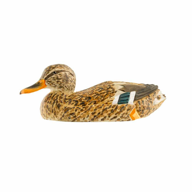 Gråand (hun) - træfugl - Wildlife Garden