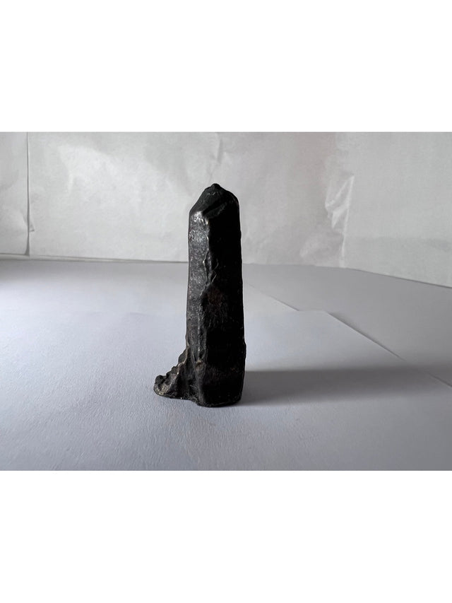 Hus #2 fra Harritsø, frontvisning. Det smalle taperede tårn med mørkblank bronzeoverflade.