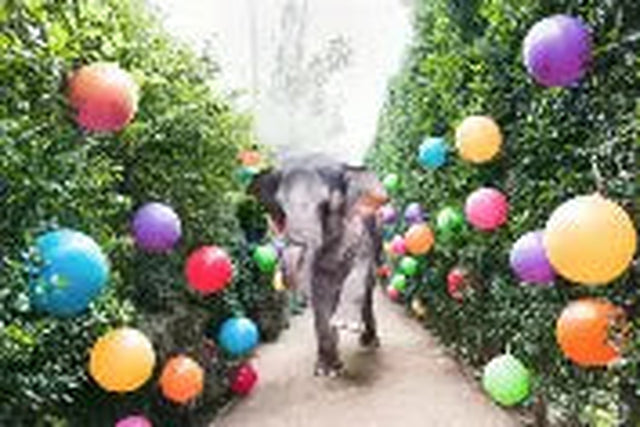 Puslespil med elefant og giraf, 500 brikker (to-sidet) - Zikzak