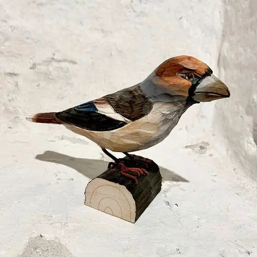 Wildlife Garden kernebider i håndsnittet træ, livsstilsfoto